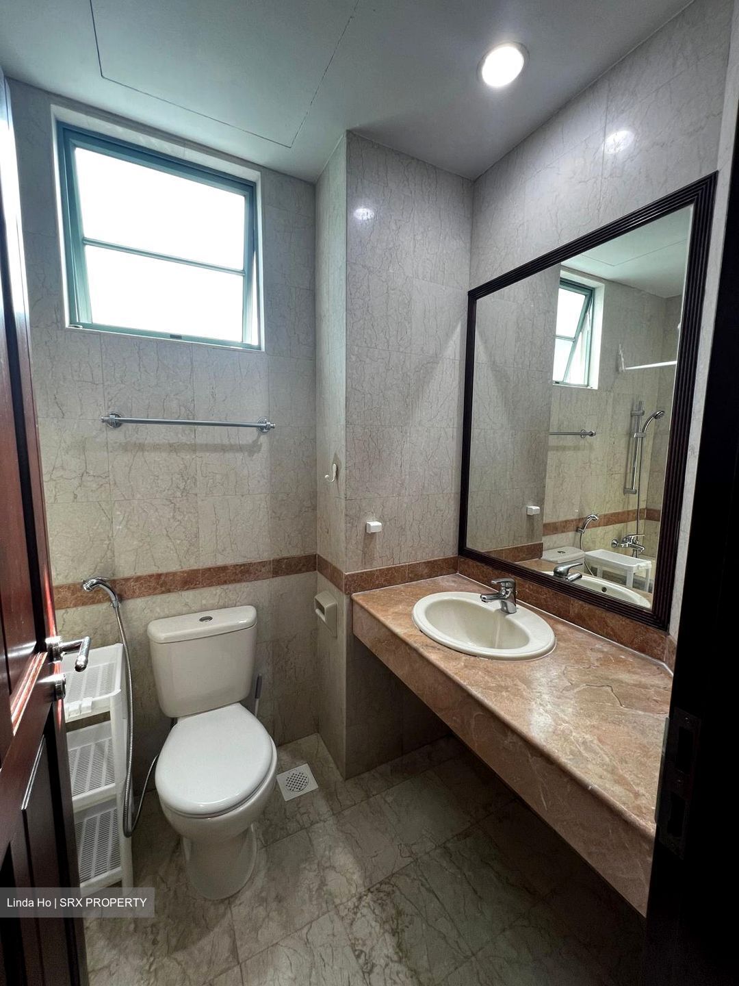 Tanglin Regency (D10), Condominium #613992441